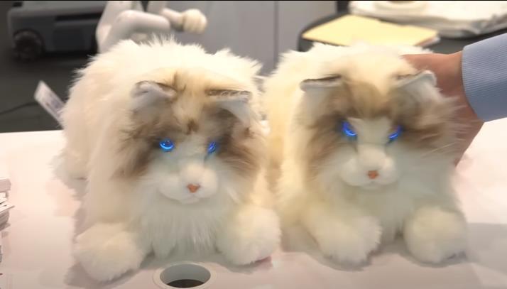 Человечество к 2050 году.