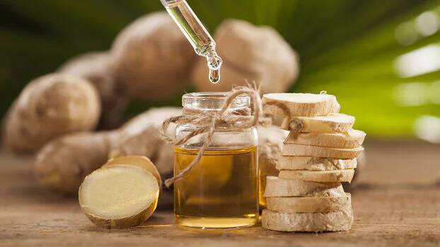 Имбирь: что это такое, как его использовать и противопоказания!