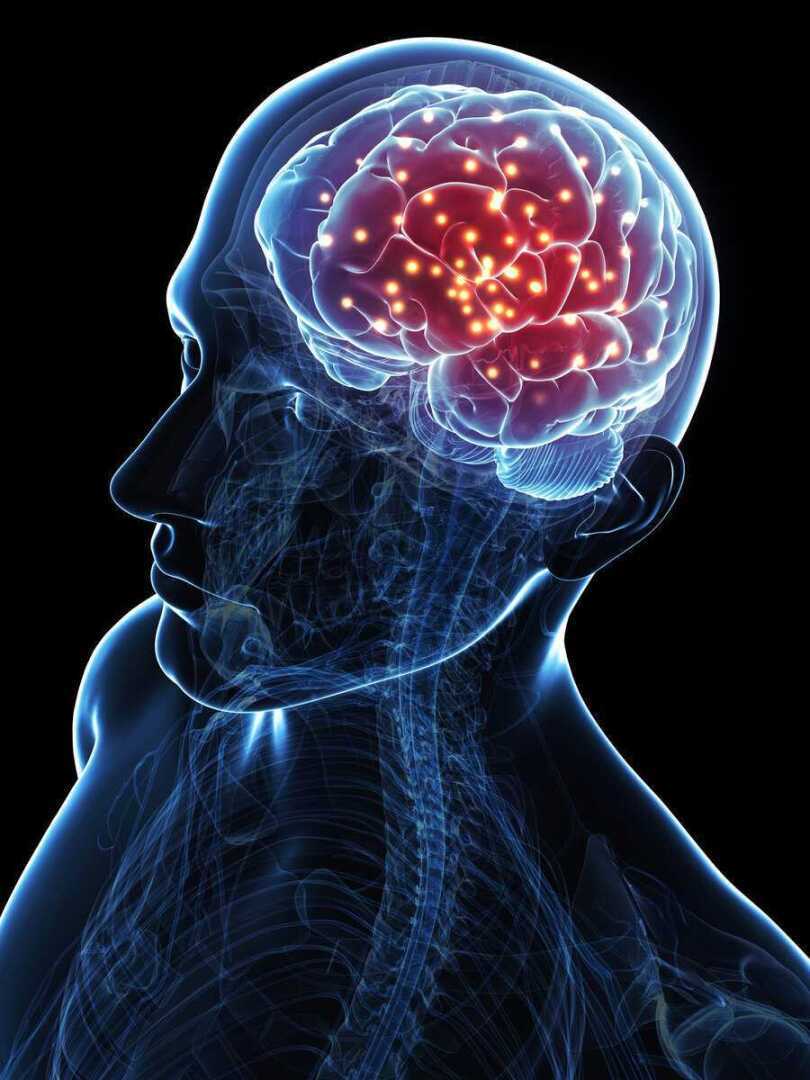 Десять интересных фактов о человеческом теле