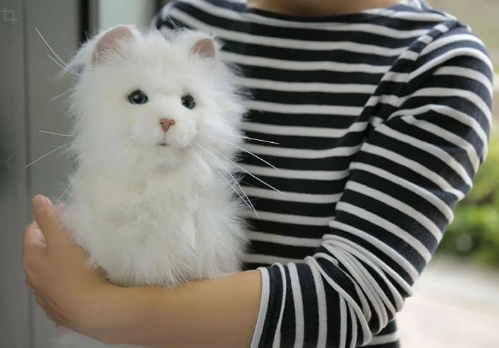 Куклы – роботы, нужны ли они человечеству?