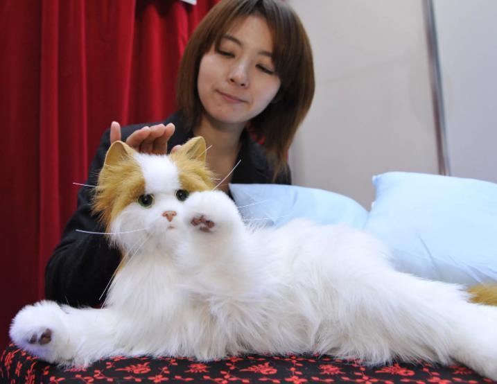 Куклы – роботы, нужны ли они человечеству?