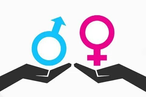 Как правильно выбрать витамины и минералы для своего организма?Большой обзор