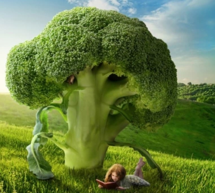 Эти Суперпродукты Могут Предотвратить Рак, Болезни Сердца, Ожирение И Многое Другое