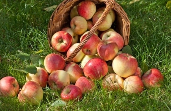 Эти Суперпродукты Могут Предотвратить Рак, Болезни Сердца, Ожирение И Многое Другое