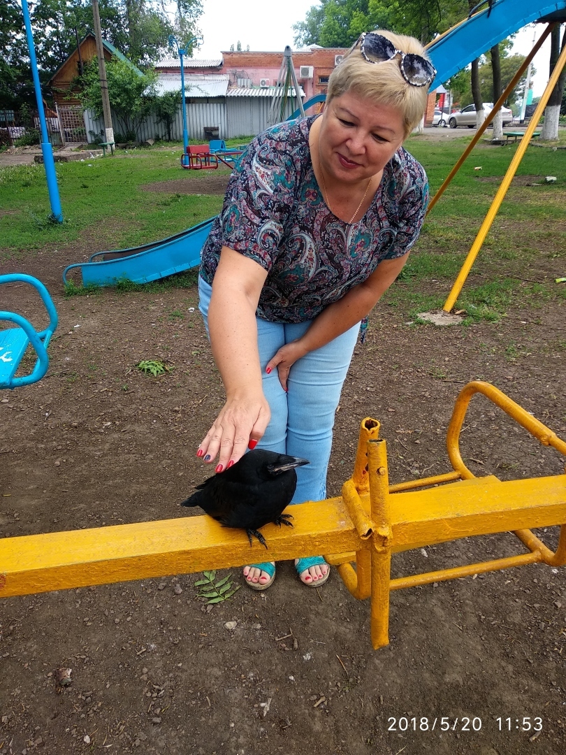 Как ворона так подставила меня перед сокурсником, что я покраснела от стыда