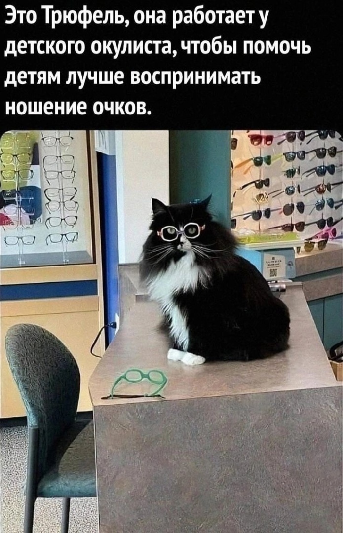 Вспомним Задорнова, или смех во время чумы