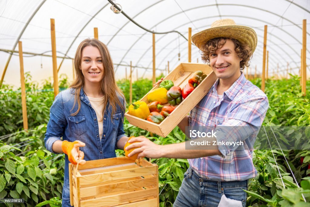 Почему органические овощи такие дорогие