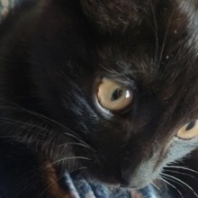 Оксана, г. Кемерово