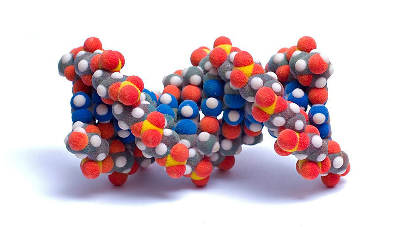 Свойства аминокислот и их роль