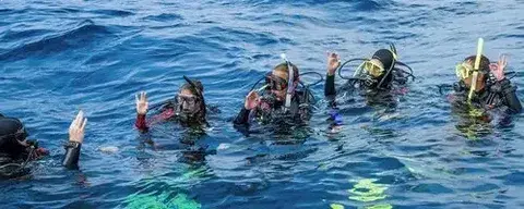 Путешествие в загадочный мир подводного рифа