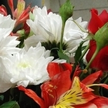 Наталья, г. Санкт-Петербург