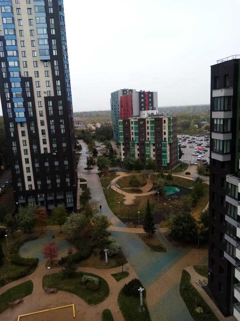 Убийство за замечание – реальная история со страшным концом