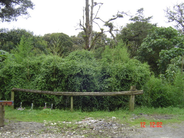 Встать, суд идёт. Часть 15. Новые эпизоды из моей параллельной биографии, сочинённой ответчиками для суда