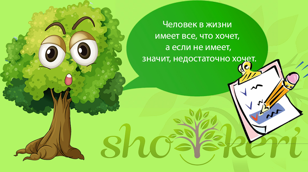 🌱Как выбраться из долгов: Шаг 1 – Остановить кровотечение🌱
