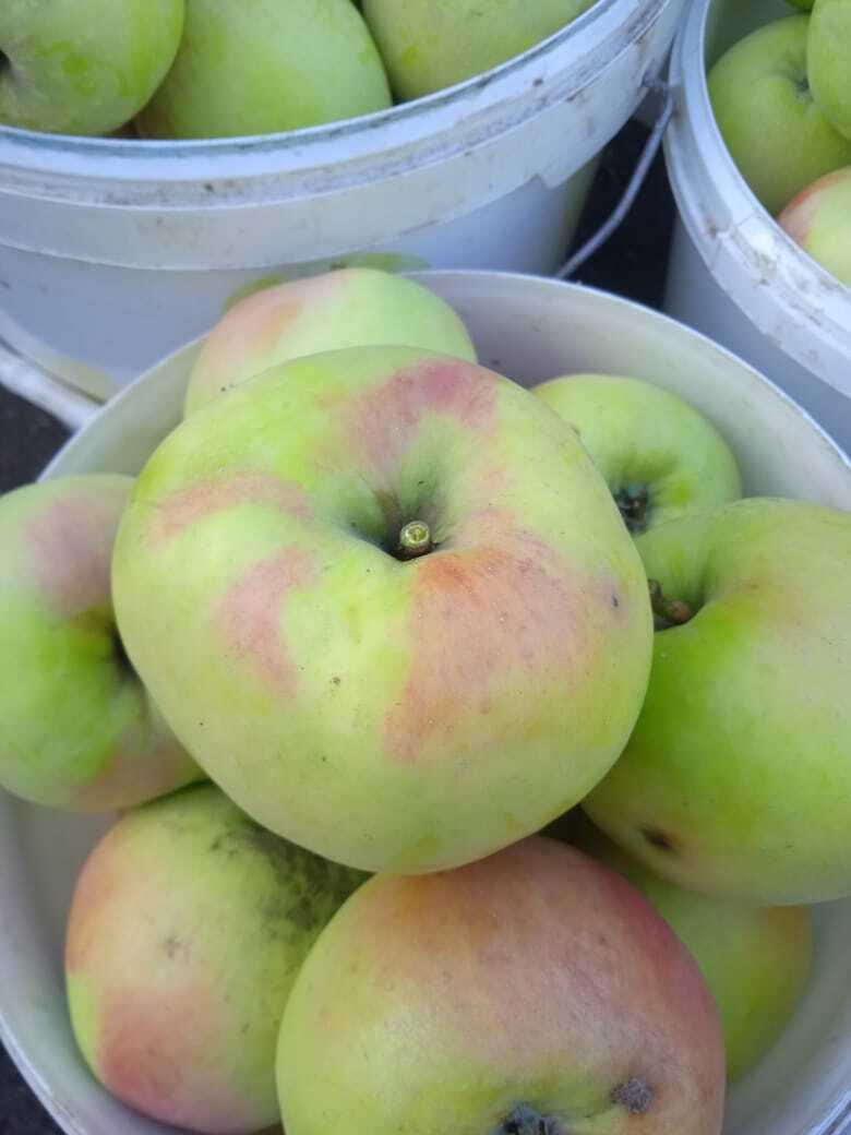 Домашняя выпечка: что вкусного я пеку в выходные для своих родных, делюсь секретом моей выпечки и фотографиями пирожков.