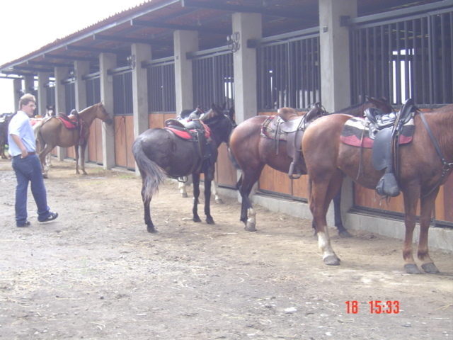 Встать, суд идёт... Часть 16. Пару слов о свидетелях ответчиков. Нашлось самое важное документальное доказательство