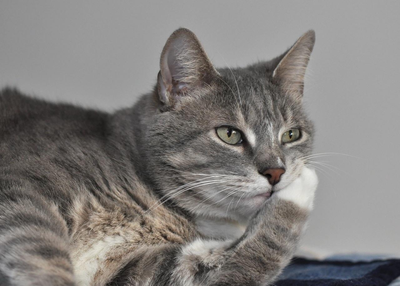 Три новости, которые привлекли моё внимание