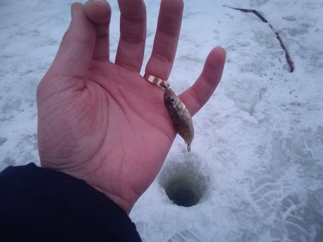 Рыбацкие приметы и суеверия.