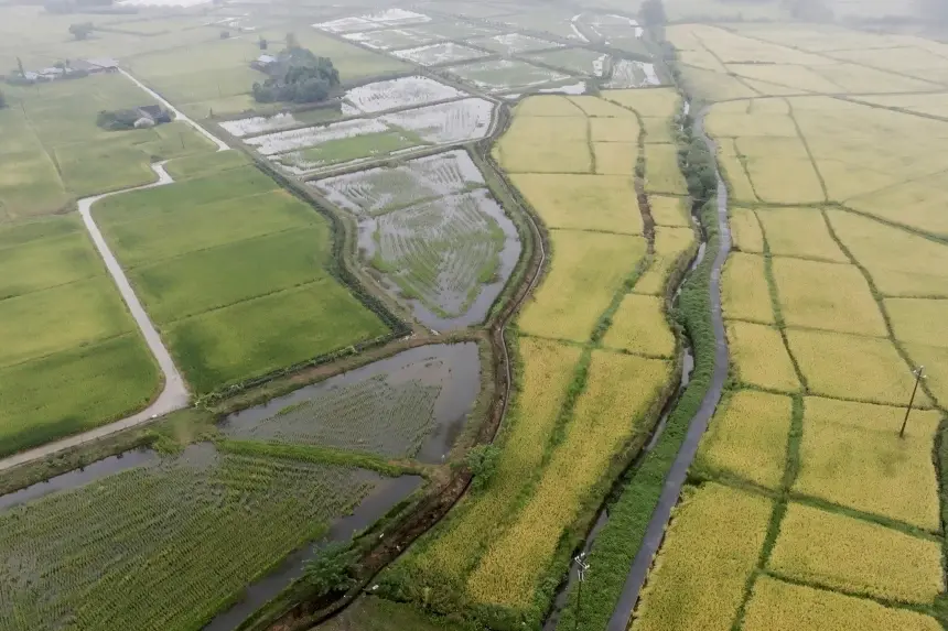 Экстремальные погодные условия и война в Украине ставят продовольственную безопасность в центр внимания Китая