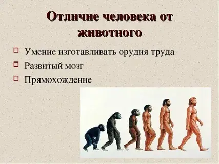 Раздвоенность человека: Что отличает нас от животных и что происходит, когда мы теряем свою человечность
