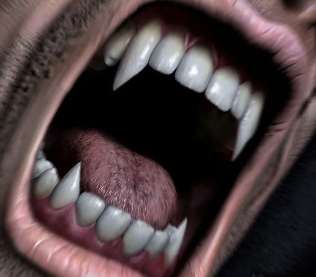 Судьба человечества зависит от «русской души»: Запад не простит Россию, потому что нас нельзя победить