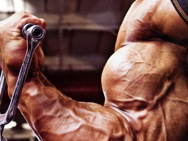 Уникальная статья о бицепсе