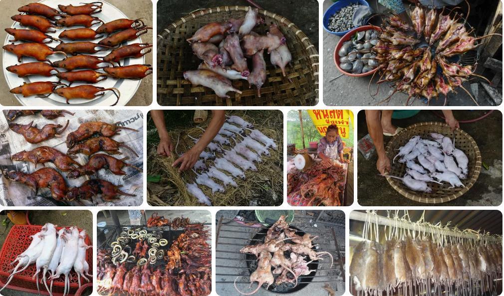 Почему европейцы считают мясо крысы деликатесом