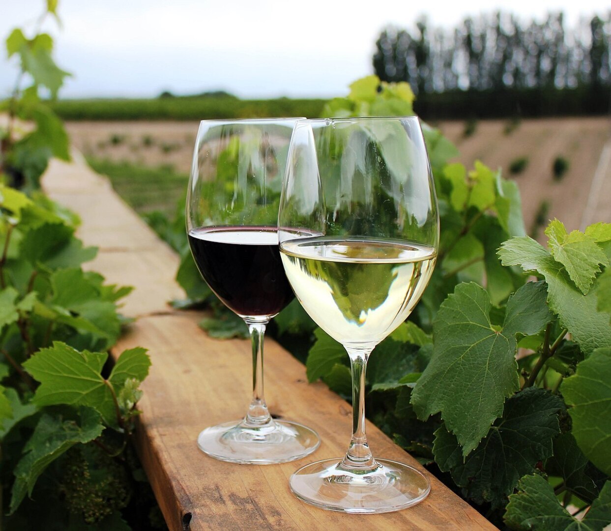 ВВП? Какие варианты можете придумать с этой аббревиатурой? Я случайно придумал, вино, водка и пиво!