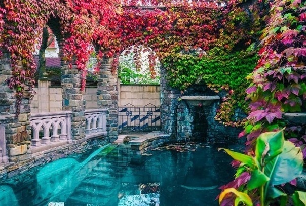 Красивый парк