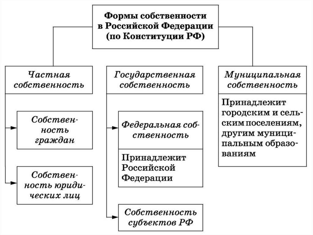 План право собственности в рф егэ обществознание