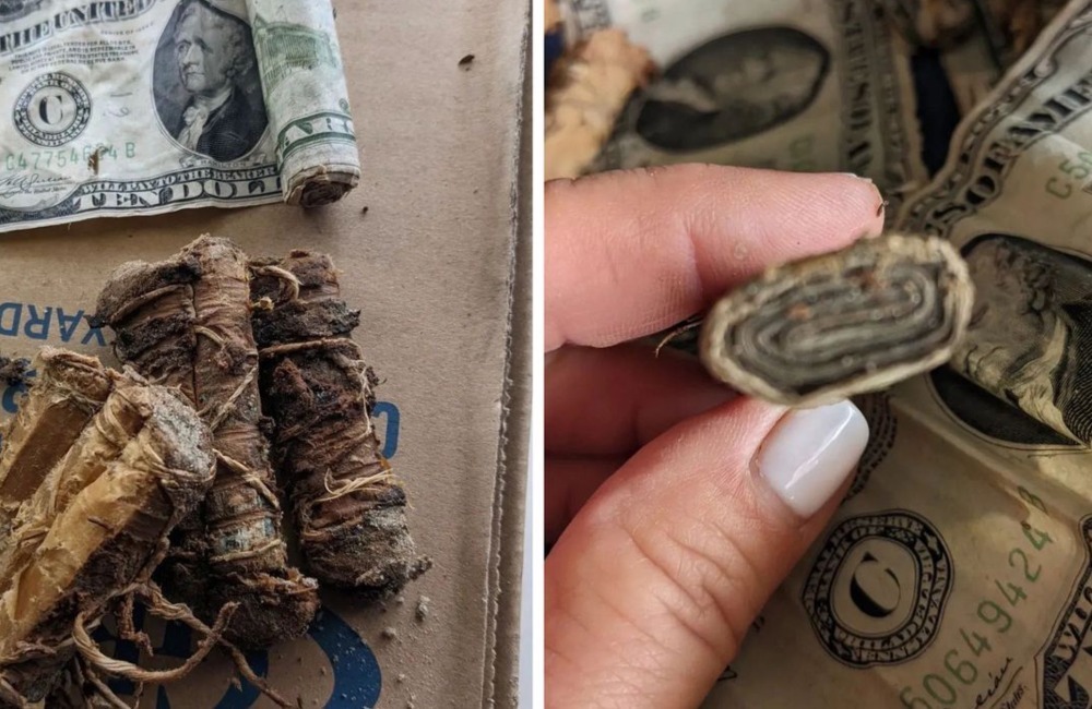 "Удивительные случайные открытия: Как случайность привела к находкам в неожиданных местах"