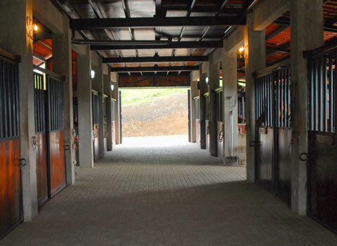 Часть 2. Как меня уговорили стать управляющим на ранчо Сакраменто