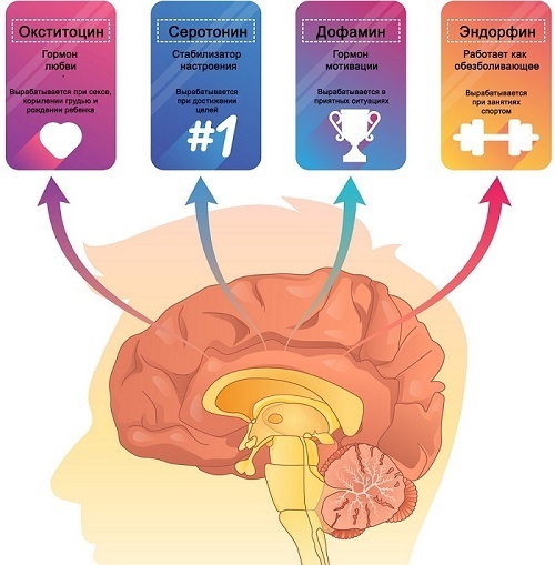 4 гормона счастья и удовольствия. Как их получить?