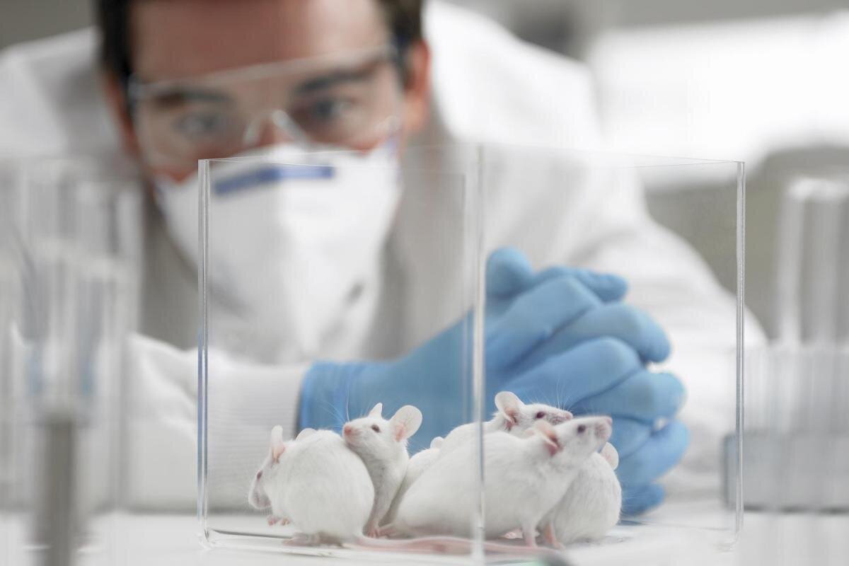 "Между наукой и состраданием: этика тестирования на животных в исследованиях"