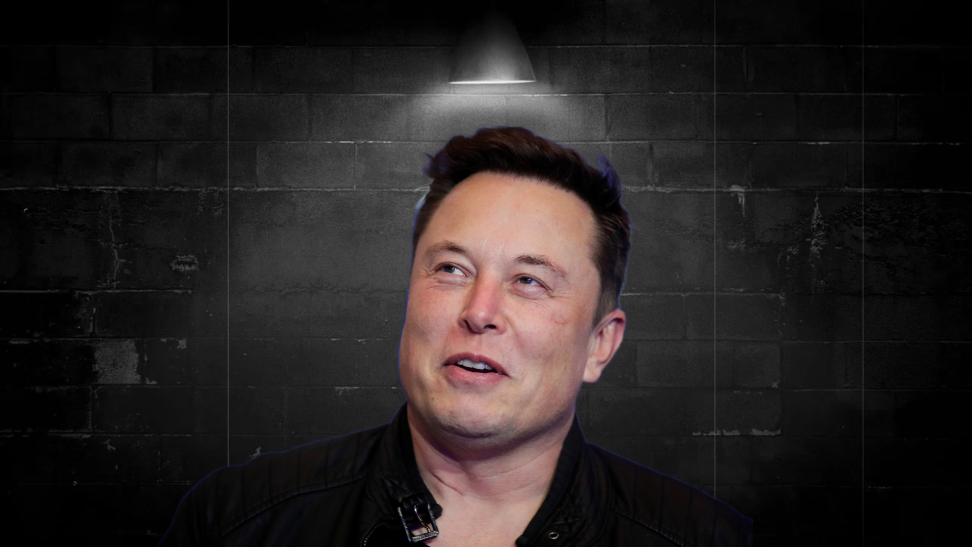 Илон Маск и политологи: предупреждают о возможной катастрофе в Европе