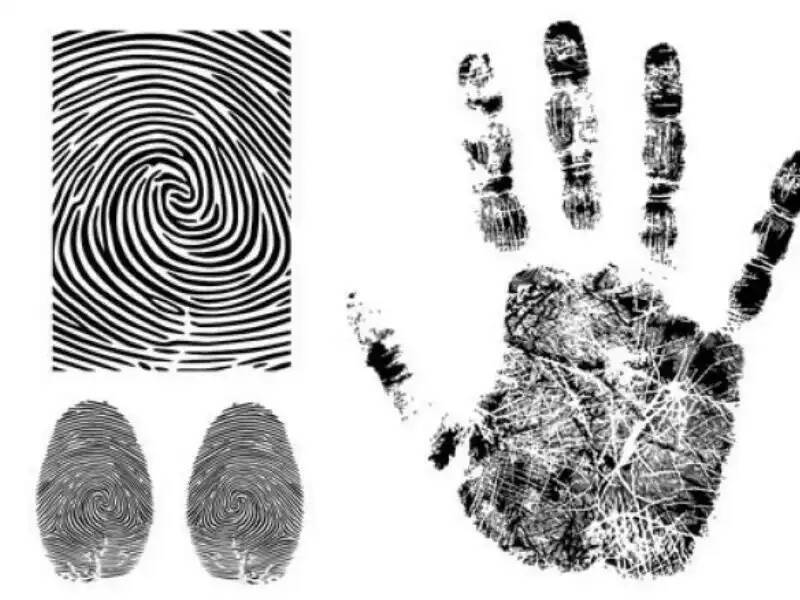 Особенности рук человека по отношению к другим видам живых существ