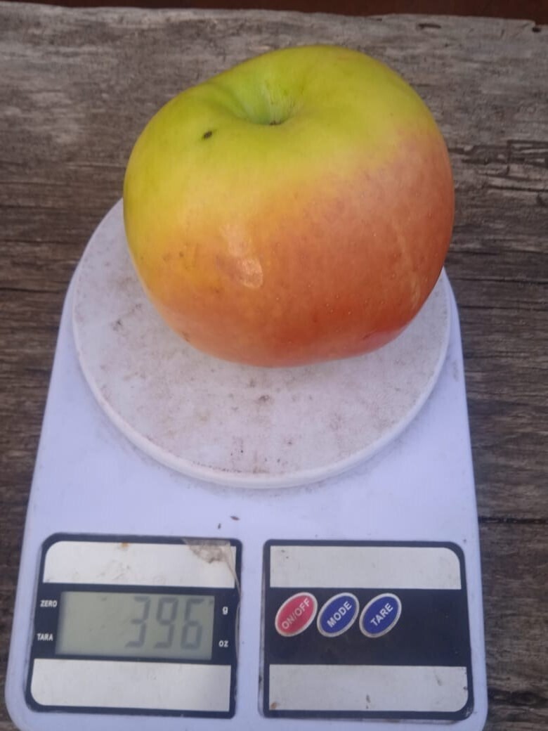 Не дача, а одно богатство и знатные особы: есть валюта, ожерелья, принцы, графы и купцы и даже собственный «Сбербанк»