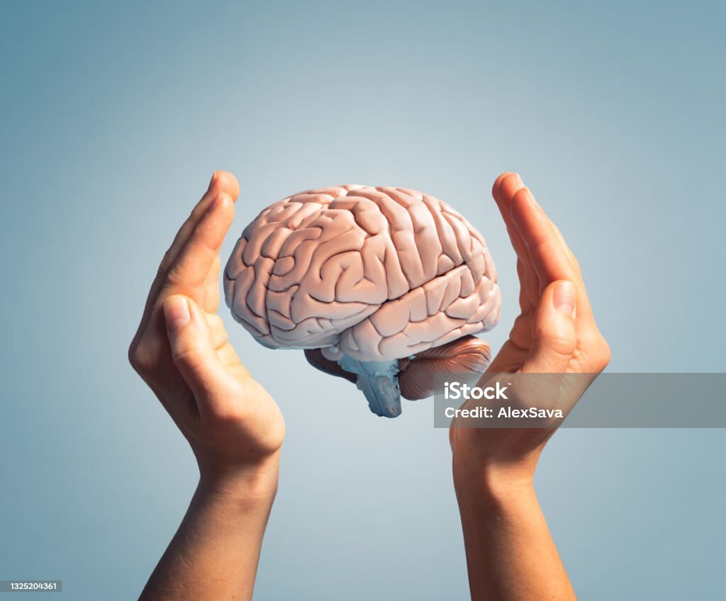 "10 Удивительных Фактов о Мозге, Которые Изменят Ваш Взгляд на Нейронауку"