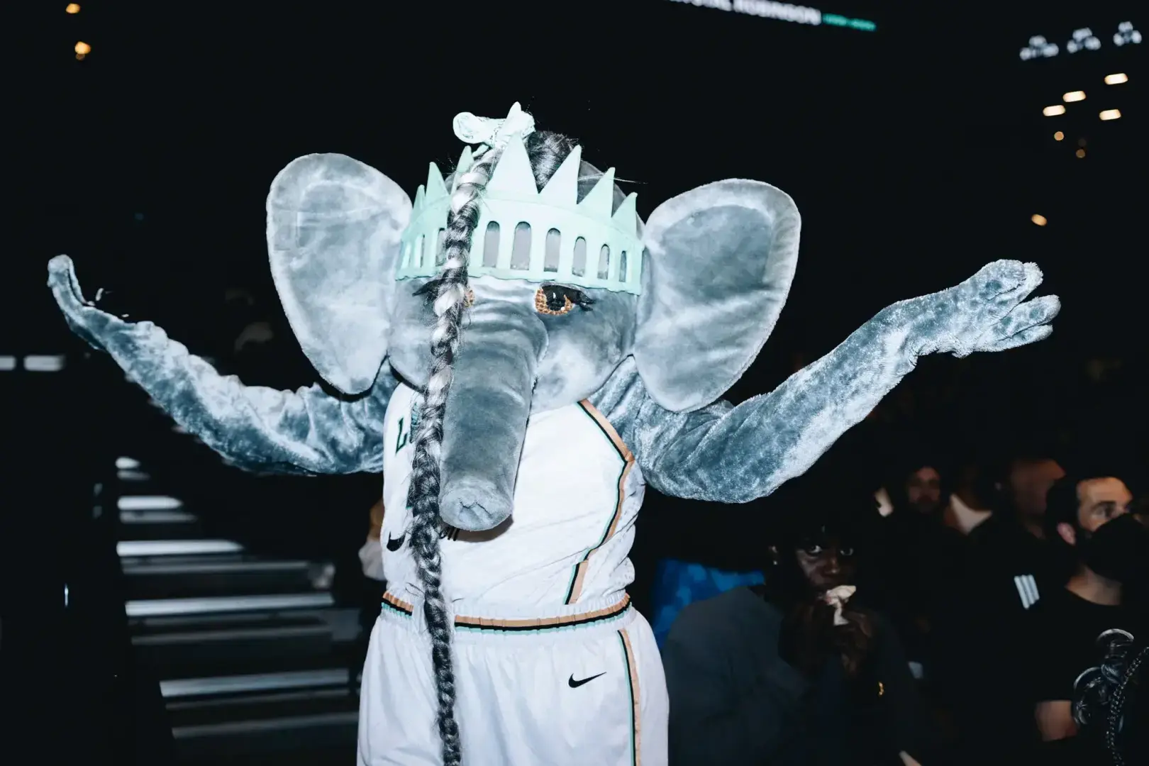 Вы когда-нибудь видели, как слониха танцует тверк?