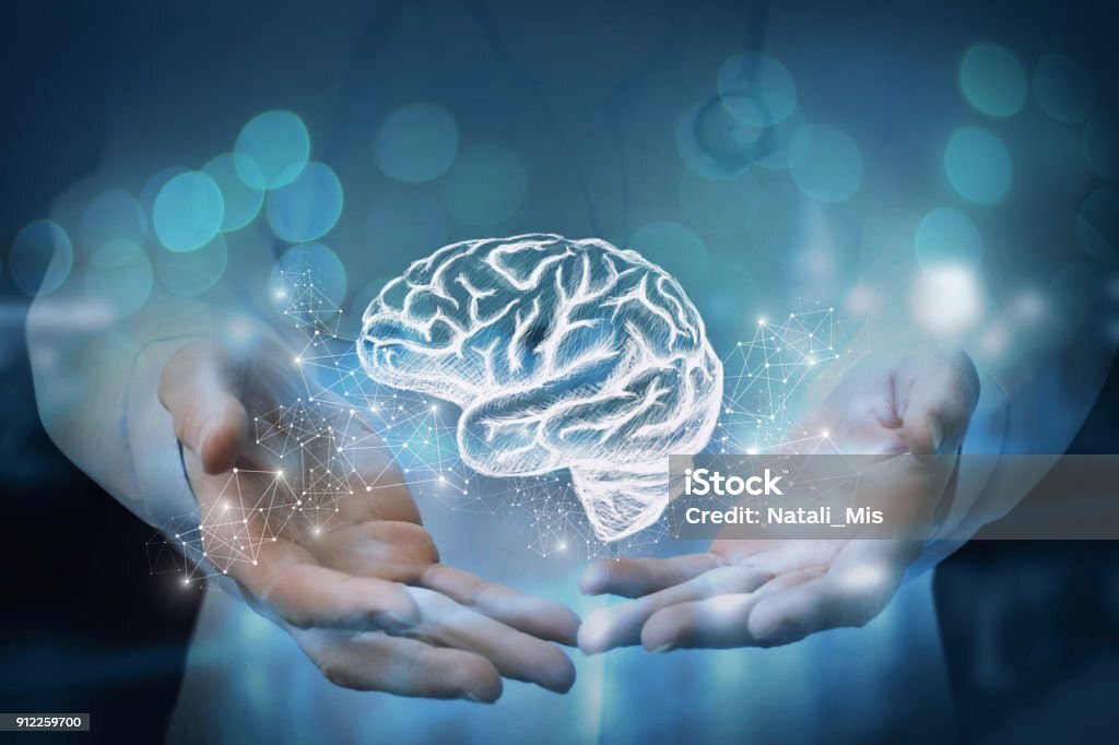 "10 Удивительных Фактов о Мозге, Которые Изменят Ваш Взгляд на Нейронауку"