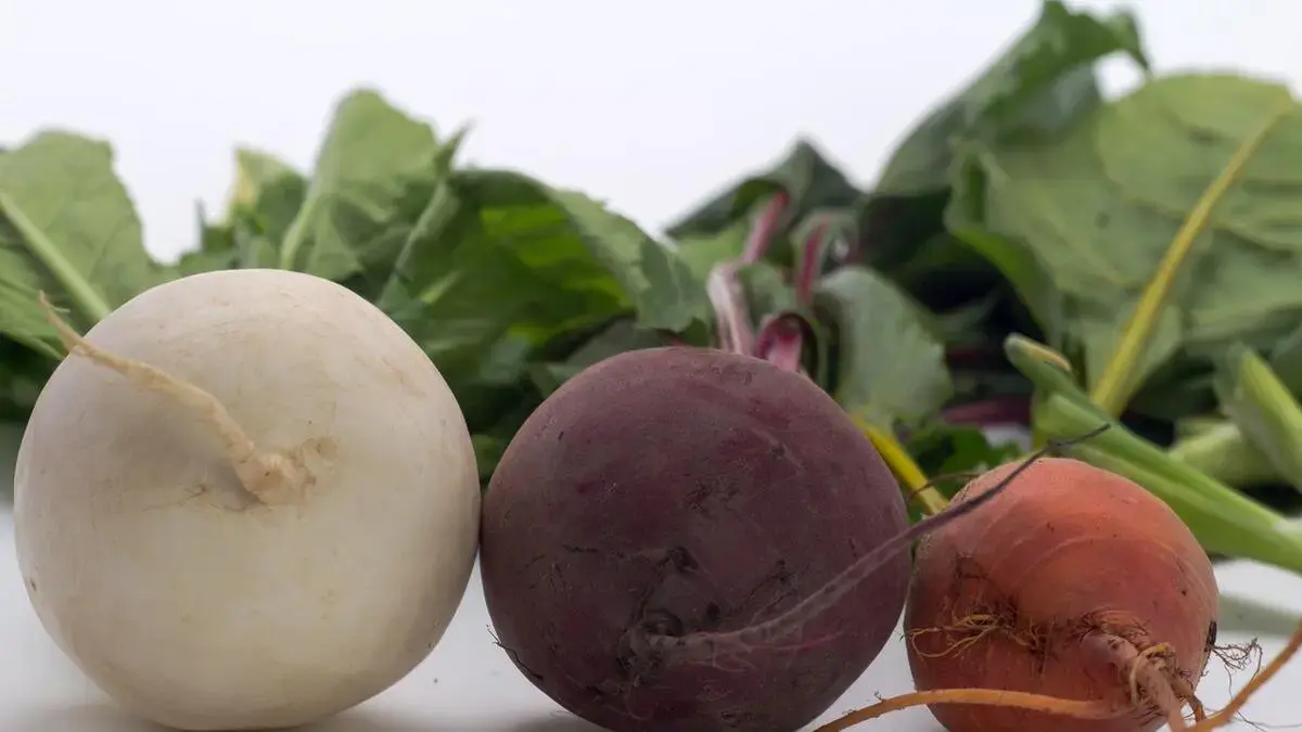 Лучший овощ для людей старше 60 лет: его польза неоценима, рассказываем, почему