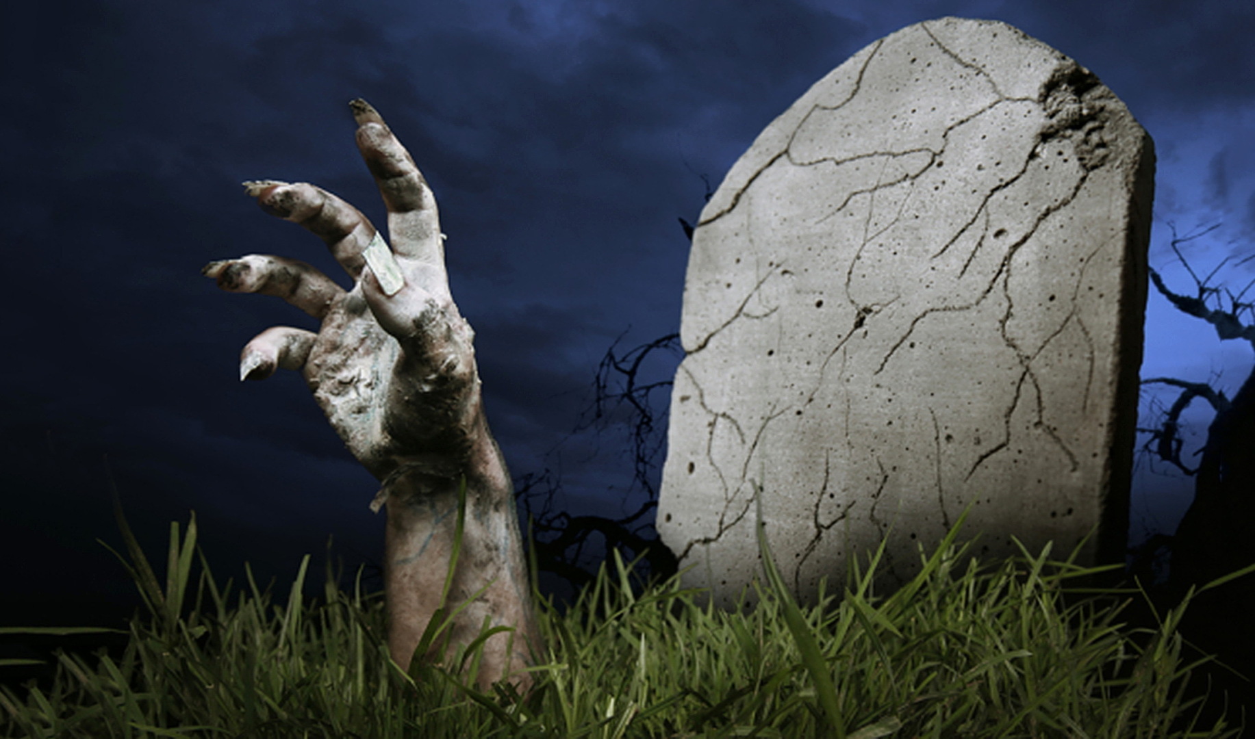 Ужасы! О моей встрече с человеком, у которого совсем не было души!