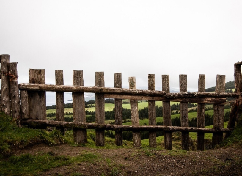 Соседский забор на территории вашего участка? Не волнуйтесь, тратить нервы будет он