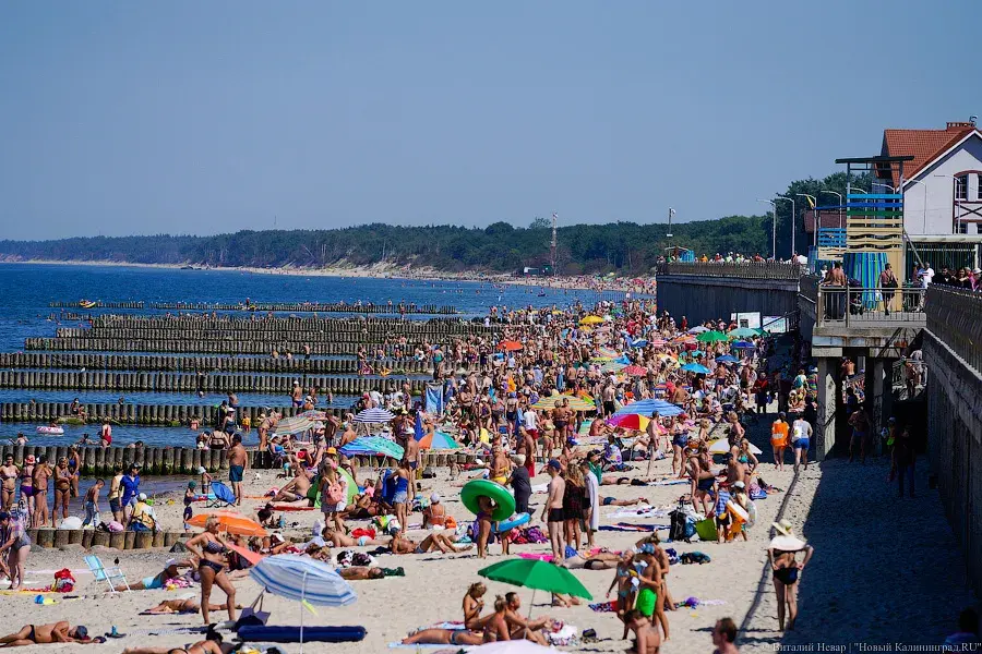 Москвичи и провинциалы поменялись местами: в Калининградской области их называют «понаехами»