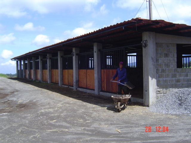 Ранчо Сакраменто. Часть 6. Тонкости и подводные камни в управлении ранчо в Латинской Америке, во что я вложил свою зарплату управляющего