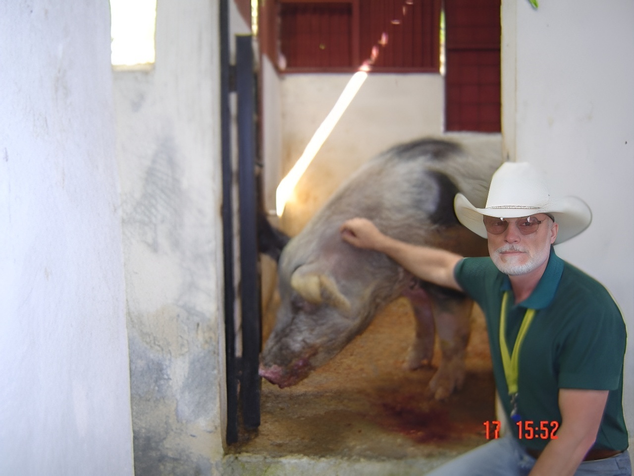 Ранчо Сакраменто. Часть 6. Тонкости и подводные камни в управлении ранчо в Латинской Америке, во что я вложил свою зарплату управляющего