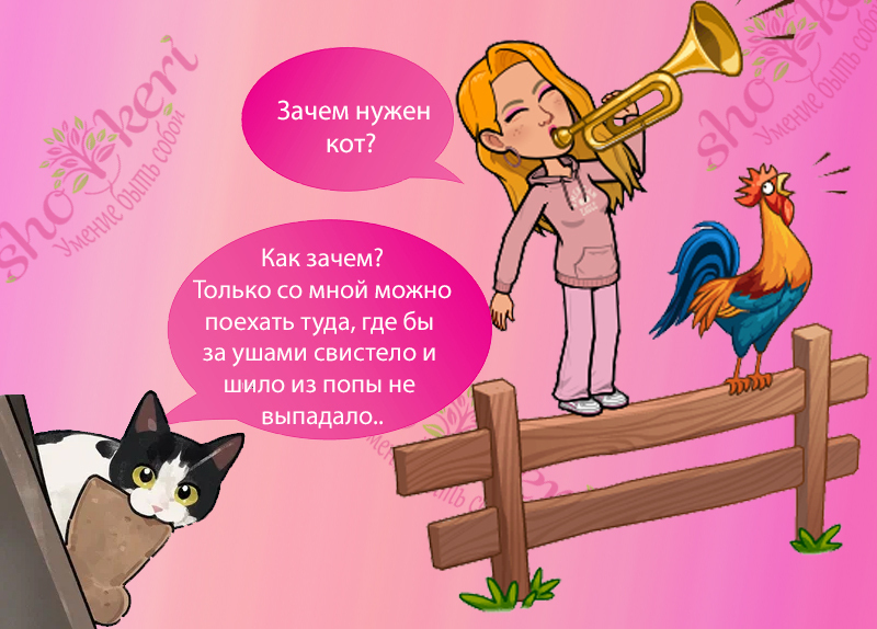 Почему много кошек лучше, чем одна