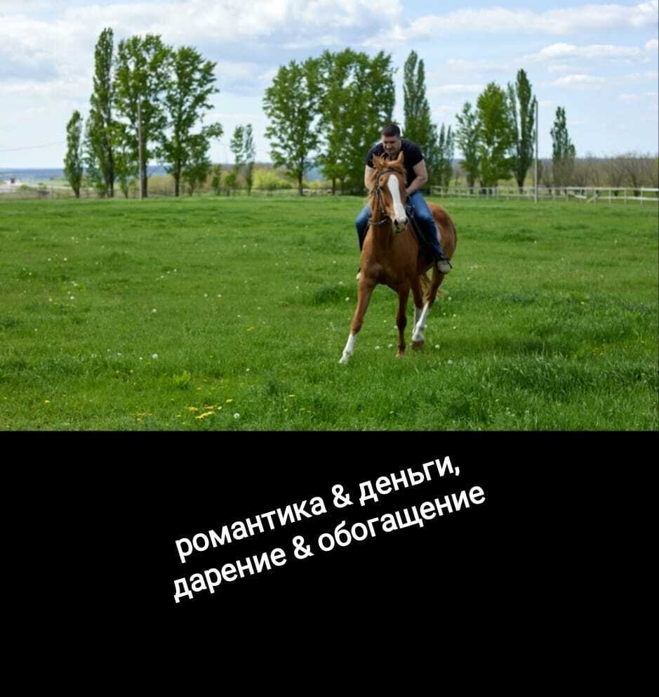 Друзья, немного романтики вам из города на Неве🍾🥂💌