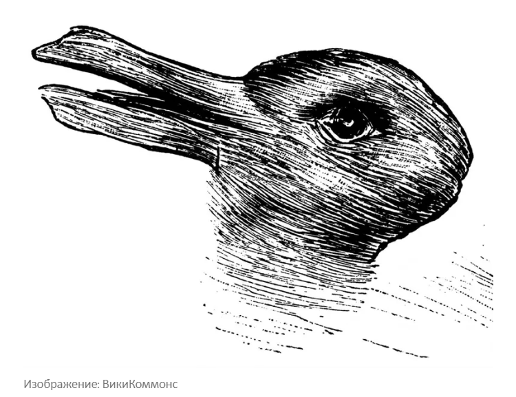 Кого ты видишь, кролика или утку? Психологический тест на креативность