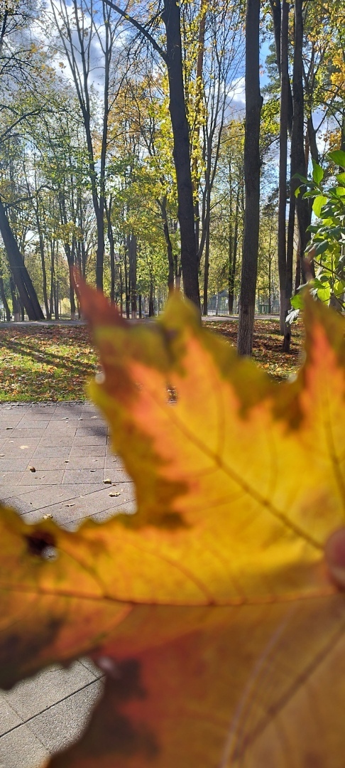 Поездка на выходные в парк культуры и отдыха в г. Раменское! И все-таки делается и хорошее для людей, реконструкция и обновление отличного парка!